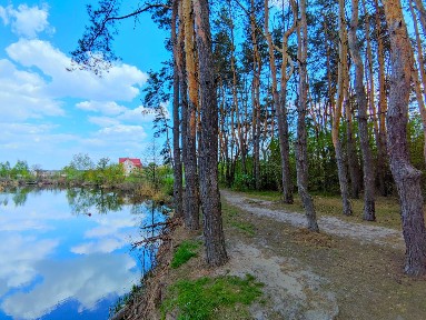 ‼️З Ремонтом‼️Будинок на Березі р. 