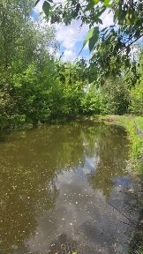 Продаж будинку с. Калинове. Киівська обл. Таращанський рн