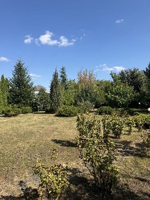 Будинок 256 м2, є цоколь, газ, ділянка 15 соток, 8 кімнат