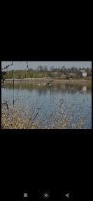 Дом на берегу Александровского водохранилища