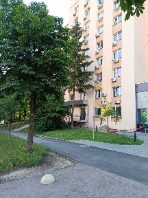 Київська область, Київ, Голосіївський