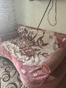 Подобово будинок з мангалом