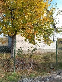 Продаж дачного будинку Барашівський масив