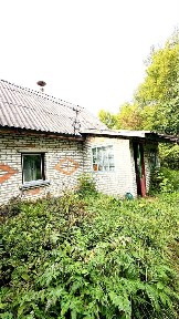 Продам будинок 45 м² з ділянкою 54 сотки, газ, піч, Житомирська обл., Морозівка, Брусилів