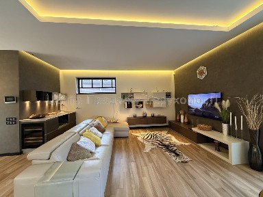 Оренда преміальної резиденції в Park House гостьовий будинок басейн баня кінотеатр