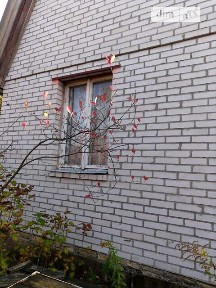 Продаж 1 поверхового будинку бесідка і ділянкою на 7 соток, 60 кв. м, 3 кімнати, на вул. Комарова 38 • ID 35029308