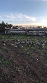 Продаж малого фермерського господарства з інфраструктурою
