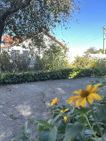 Дом. Безпечне місце.