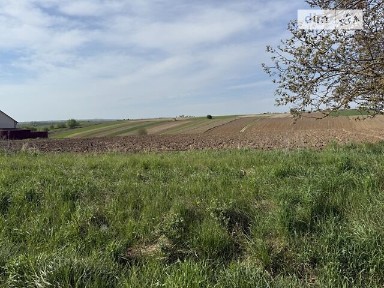 Продаж 2 поверхового будинку з ділянкою на 60 соток, 255 кв. м, 5 кімнат, на вул. Головна • ID 35031937