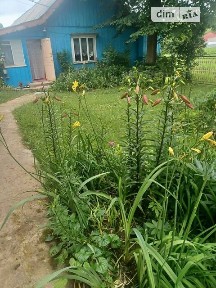 Продаж 1 поверхового будинку з верандою і ділянкою на 25 соток, 120 кв. м, 5 кімнат, на вул. Івана Франка • ID 35032468