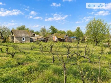 Продаж 1 поверхового будинку з ділянкою на 14 соток, 27 кв. м, 1 кімната, на парк Шевченка • ID 34951649