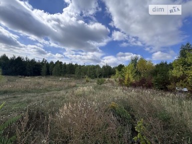 Продаж 2 поверхового будинку з ділянкою на 25 соток, 240 кв. м, 6 кімнат, на вул. Кошового • ID 34887002