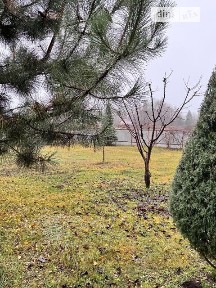Продаж 1 поверхового будинку з ділянкою на 15 соток, 150 кв. м, 4 кімнати, на вулиця Молодіжна • ID 34881992