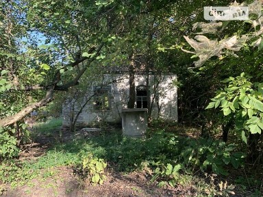 Продаж 1 поверхового будинку з ділянкою на 62 сотки, 62 кв. м, 2 кімнати, на вул. Павла Полуботка 20 • ID 34877944
