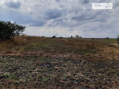 Продаж 1 поверхового будинку з ділянкою на 50 соток, 100 кв. м, 7 кімнат, на вулиця Українська • ID 34765578
