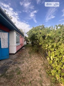 Продаж 1 поверхового будинку з ділянкою на 48 соток, 65.4 кв. м, 2 кімнати, на вул. Соборна • ID 34745733