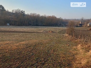 Продаж 1 поверхового будинку з ділянкою на 20 соток, 250 кв. м, 4 кімнати, на Шевченка • ID 34738798