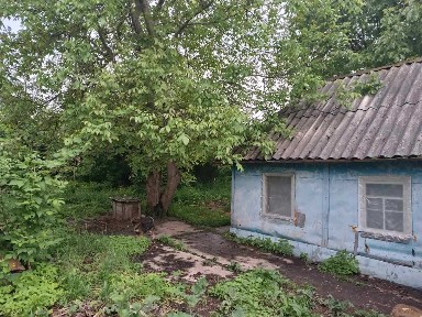 Земельна ділянка з стареньким будиночком в с. Королівка