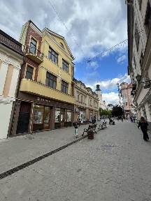 Продам частину будинку в центрі м. Ужгород