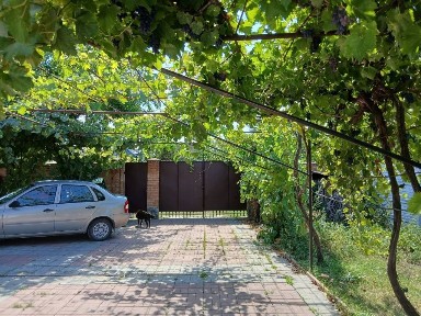 Терміновий продаж будинку на Кущівці