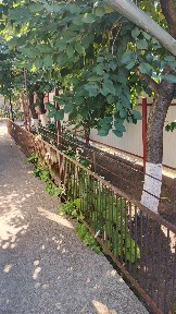 Продається затишна частина будинку у місті Звенигородка Черкаської області