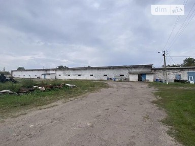 Продаж комерційного приміщення на вул. Шевченка, площа 8000 кв. м • ID 35036555