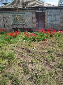 Продаж 1 поверхового будинку з ділянкою на 12 соток, 65 кв. м, 5 кімнат, на вул. Набережна • ID 35036397