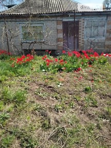 Продаж 1 поверхового будинку з ділянкою на 12 соток, 65 кв. м, 5 кімнат, на вул. Набережна • ID 35036397