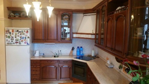Оренда 4-кімнатної квартири 207.8 м², Лєскова вул., 1А