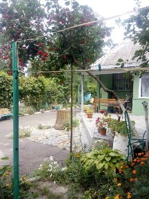 Довгострокова оренда будинку з верандою, від власника на вул. Лісова • ID 35037271