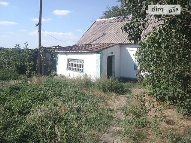 Продаж 1 поверхового будинку бесідка і ділянкою на 25 соток, 75 кв. м, 2 кімнати, на Центральна 37 • ID 35038660