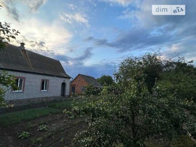 Продаж 1 поверхового будинку з ділянкою на 76 соток, 59 кв. м, 3 кімнати, на Коцюбинського 8 • ID 35039161