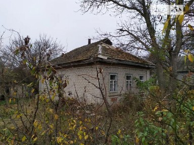 Продаж 1 поверхового будинку з ділянкою на 17 соток, 45 кв. м, 2 кімнати, на вул. Садова • ID 35038962