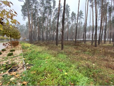 Домоволодіння 1245м2 на 90сот шикарного соснового лісу в закритому КМ, Дмитрівкка