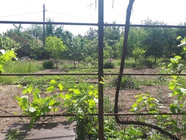 Продаж 1 поверхового будинку 20 кв. м, 1 кімната, на вул. Каліброва 8 • ID 35041817
