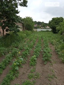 Продаж 1 поверхового будинку з ділянкою на 30 соток, 80 кв. м, 3 кімнати, на вулиця Тополева • ID 35045347