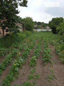 Продаж 1 поверхового будинку 80 кв. м, 3 кімнати, на Тополева • ID 35043606