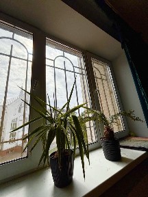 3 кімнатна квартира 100м2 Новий будинок Історичний центр