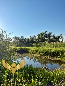 Продаж укомплектованого 2-поверхового заміського будинку в 5 хв від м. Кропивницький: власний став, сауна та колиба
