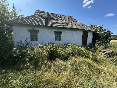 Продаж будинку в селі Ольшаниця Рокитнянського району Київської області