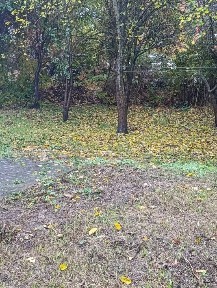 , Оренда 2 кімнатної квартири. Центр.