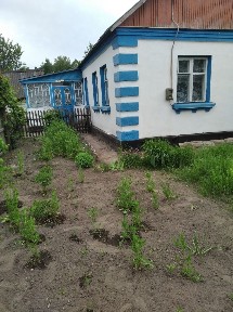 Продам будинок у мальовничому селі Кропивенка Житомирський район