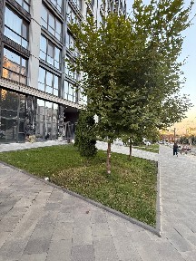 Продаж приміщення 189 м2 в ЖК Женева