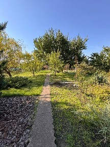Продаж дачі Лози Відрадне