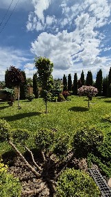 Продаж окремого будинку на Козацькому проспекті
