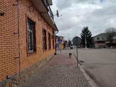 Здам приміщення в оренду (ЦЕНТР міста)