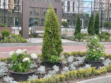 Под Ресторан, Клинику, Нотариат. Коммерция 130 кв. м. Кадорр Краснова