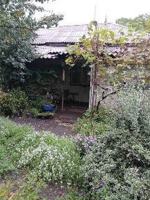 Продаж 1 поверхового будинку 60 кв. м, 4 кімнати • ID 35052081