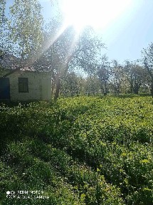 Продаж будинку в селі Волевачі