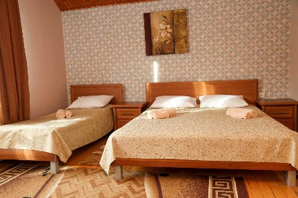 Довгострокова оренда в Карпатах | Татарів | від 30 000 грн/міс.